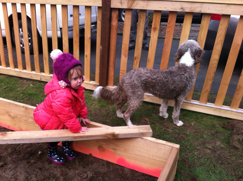 Something we weren't necessarily expecting was how much our daughter, Catarina, would love climbing, digging and walking in the garden box. It's been a bit of a challenge to keep her away from the young plants.