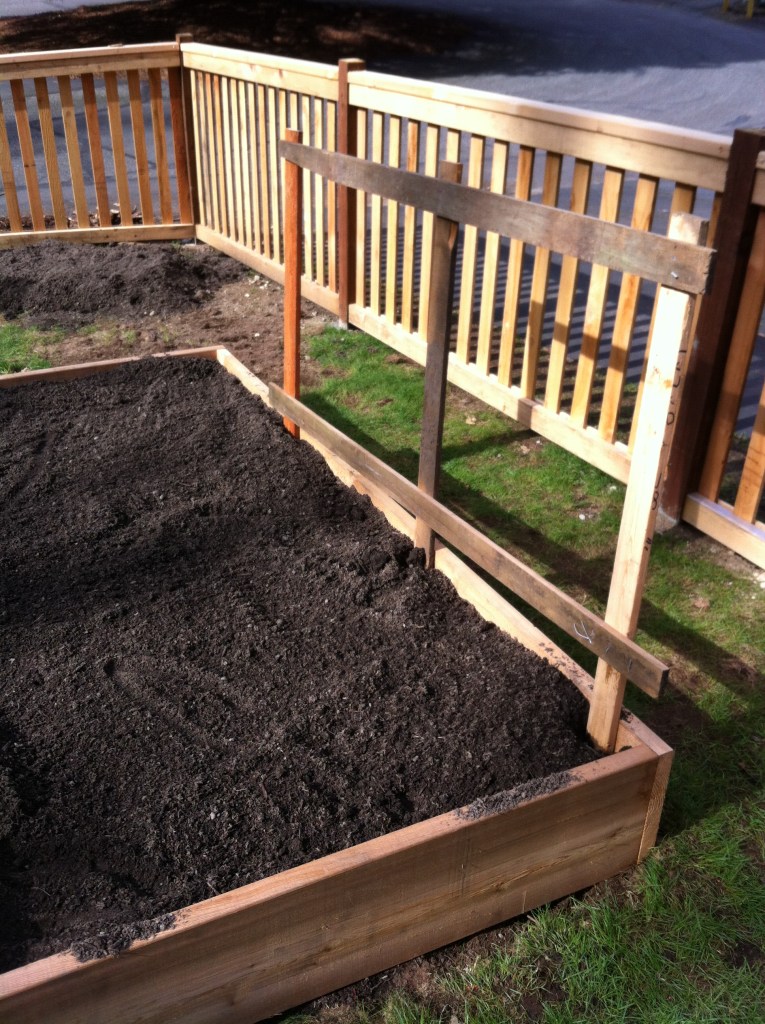 We initially built a trellis out of left over cedar from our new fence, but it didn't really work out. So, bamboo it is.