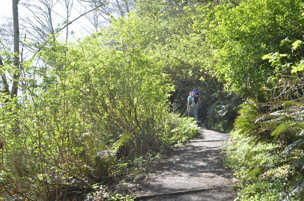 The trail up Artillery Hill is not for the feint-hearted. It is a steep, though short, climb. It is even harder when you are carrying your child on your back.