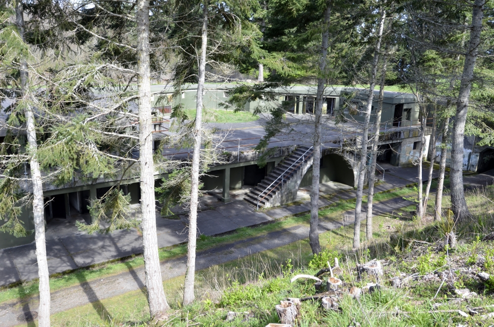 The batteries on Artillery Hill are tucked into the trees on top of the bluff overlooking the Puget Sound. They must've been an imposing sight when they were built and had giant guns on them.