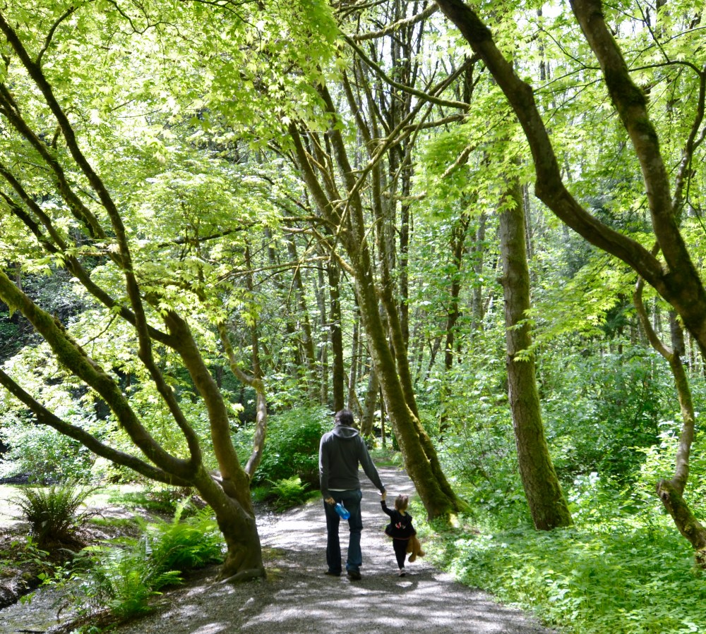 Craig and Catarina enjoying the trail at Kobayashi Park in University Place. It's a kid-friendly environment, though younger kids need to be watched because of the fast flowing creek.