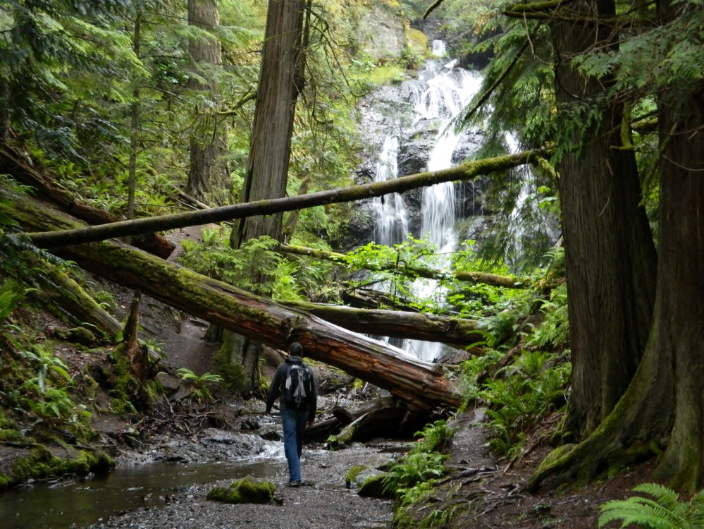 I love this photo. It is so wild. So Western Washington. The downed trees, the waterfall in the background, the creek in the foreground, and a solitary human dwarfed by the nature. 
