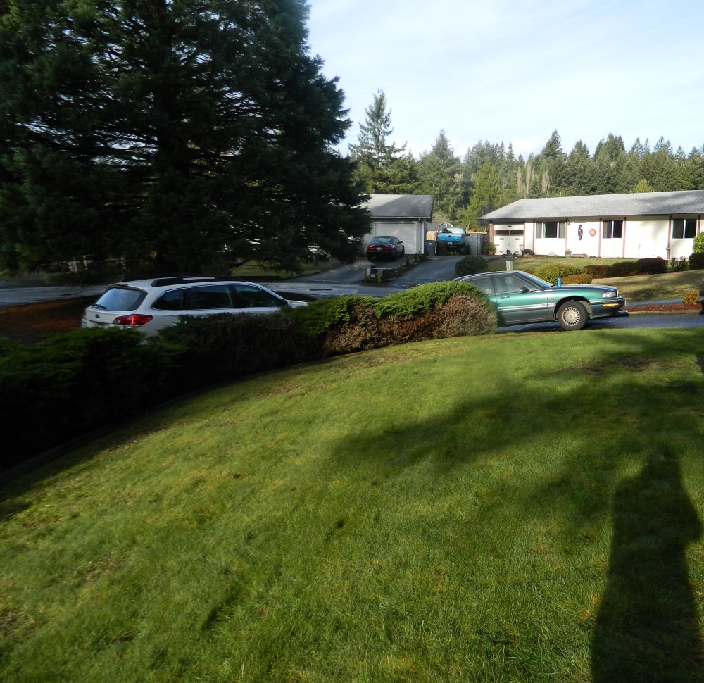 This is what our front yard looked like before we bought the house. I prefer the look with the garden box. Grass is such a waste of resources.