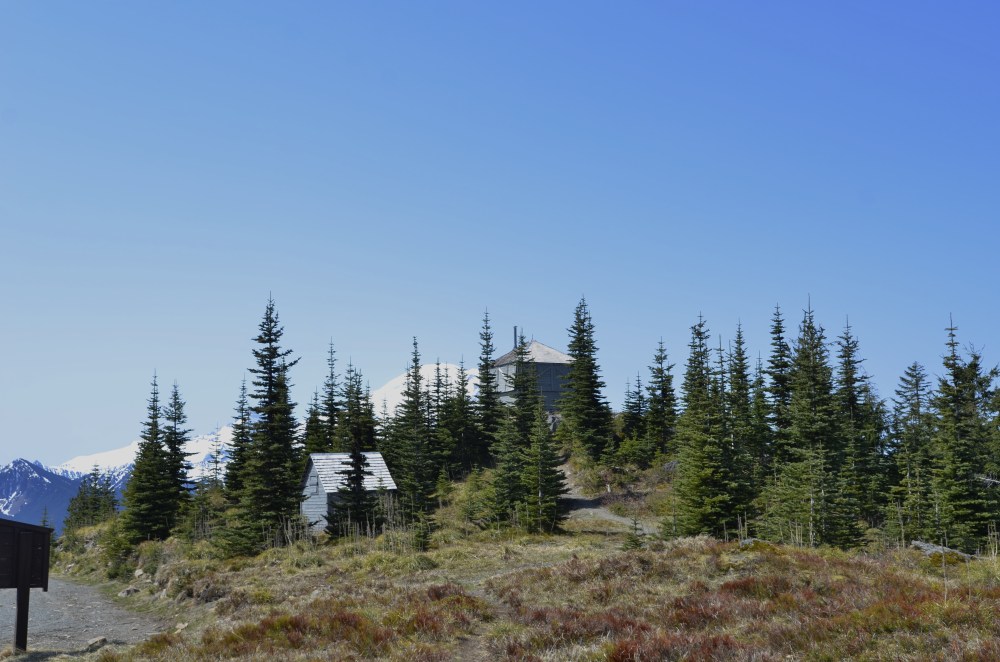The summit area has a parking lot, vault toilet, outbuilding and the historic fire lookout (building in middle). While there are 360-degree views from near the lookout, the best views of Mt. Rainier are on the trail leading up to the summit, where there are less trees.