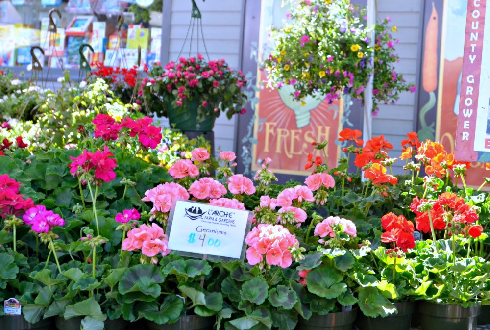 FarmersMarketFLOWERS
