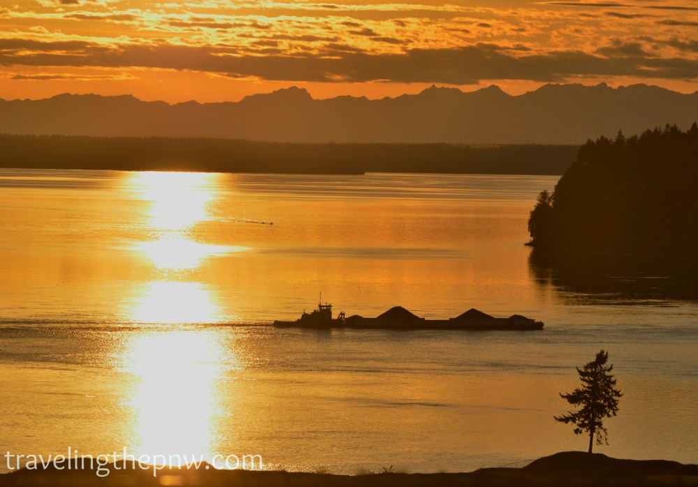I waited until this tug boat and barge were framed by the sun on the water and the tree at Chambers Bay Golf Course to give a bit of action to this shot. 