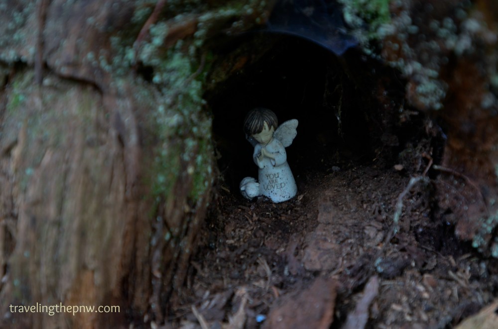 Someone left an angel statue inside of the tree, perhaps as a blessing on all who passed by it.