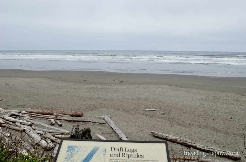 A rip tide changed Craig's viewpoint on the ocean when he was in high school. Needless to say, when we were camping recently at Kalaloch Beach, we didn't test out the water - not because of riptides, rather because it was freezing.