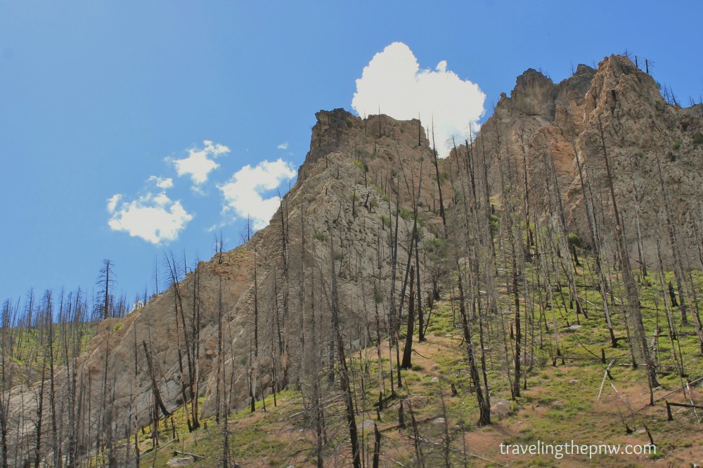 At nearly a mile high, the terrain offered burnt out trees, rolling hills and craggy rock outcrops. Combined with the blue sky, it was beautiful to say the least.