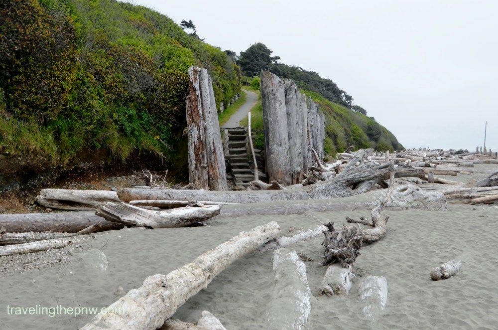 The trail from the campground down to the beach. The driftwood was pretty intense.