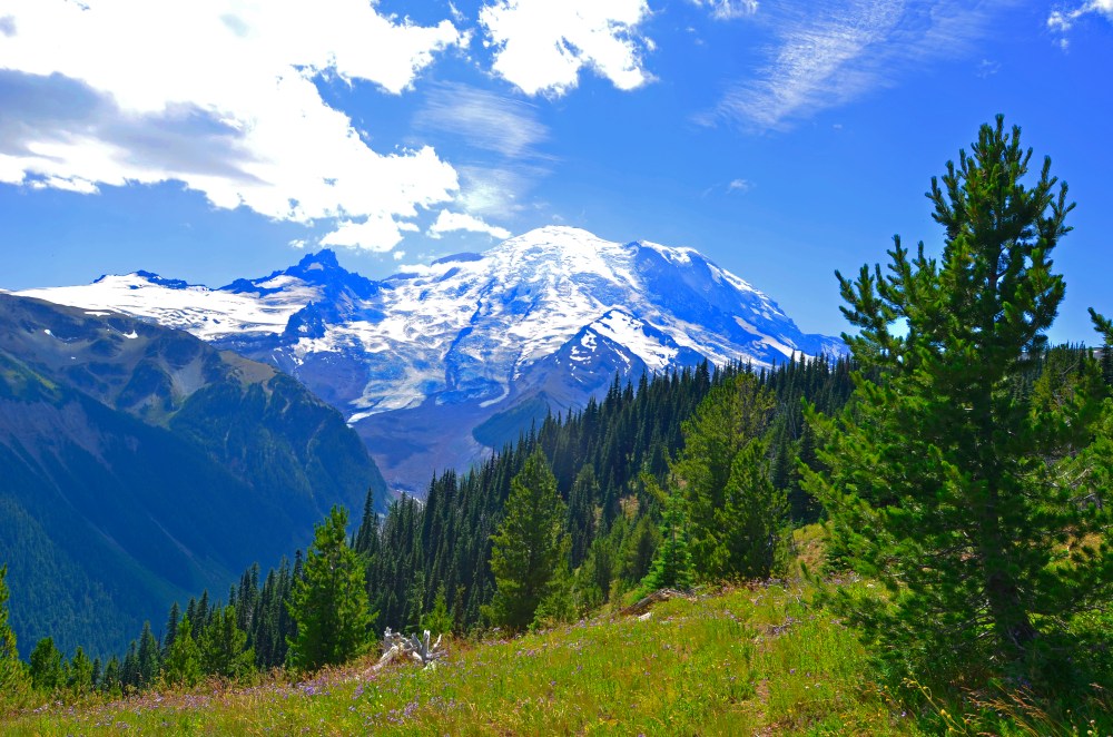 Mount Rainier towers over the landscape.