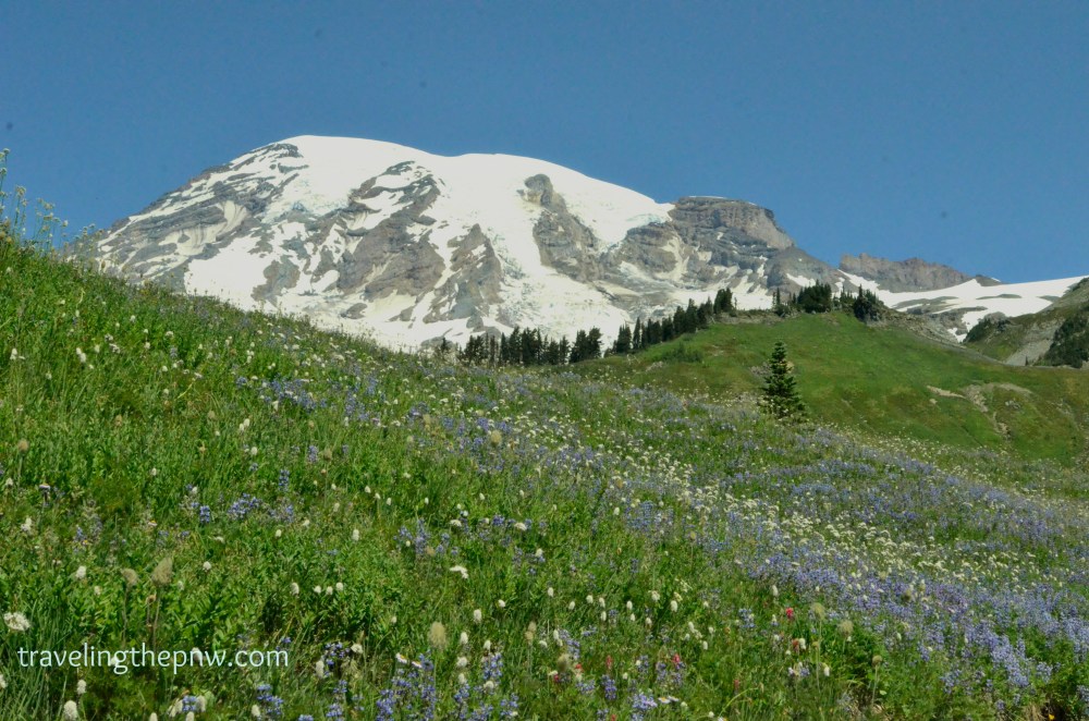 When it is sunny, the views at Paradise are hard to top.