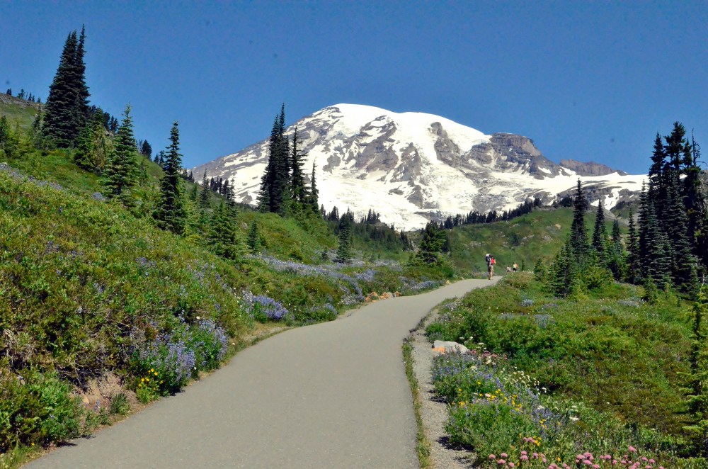 Mount Rainier looms above hikers making their way up the Skyline Trail.