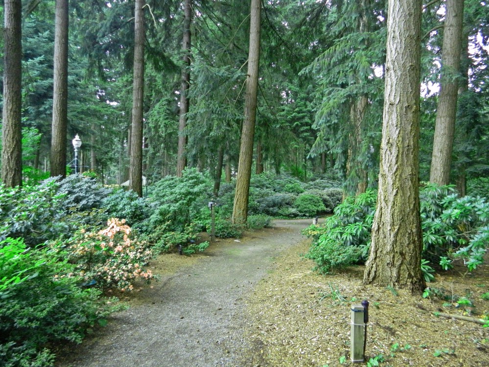 Lots of serene paths to enjoy in Homestead Park.