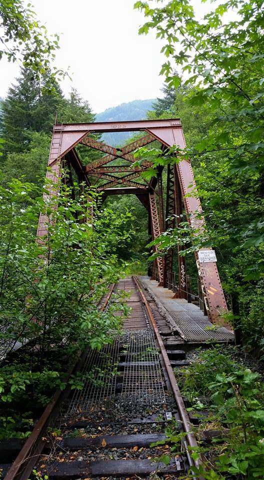 As we went further, it got harder and harder to fight through the brush. Here's the third bridge, almost entirely swallowed up. (Thomas Kyle-Milward)