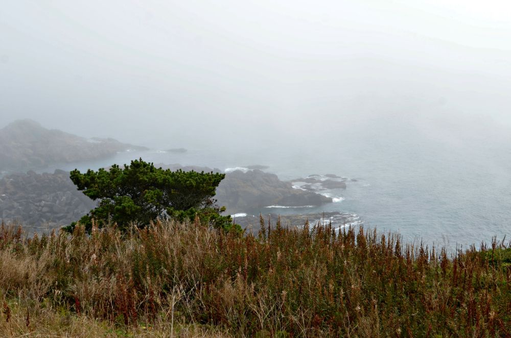 Newport was rather foggy while we were there, which was OK because then we got to use the fireplace in our hotel room.