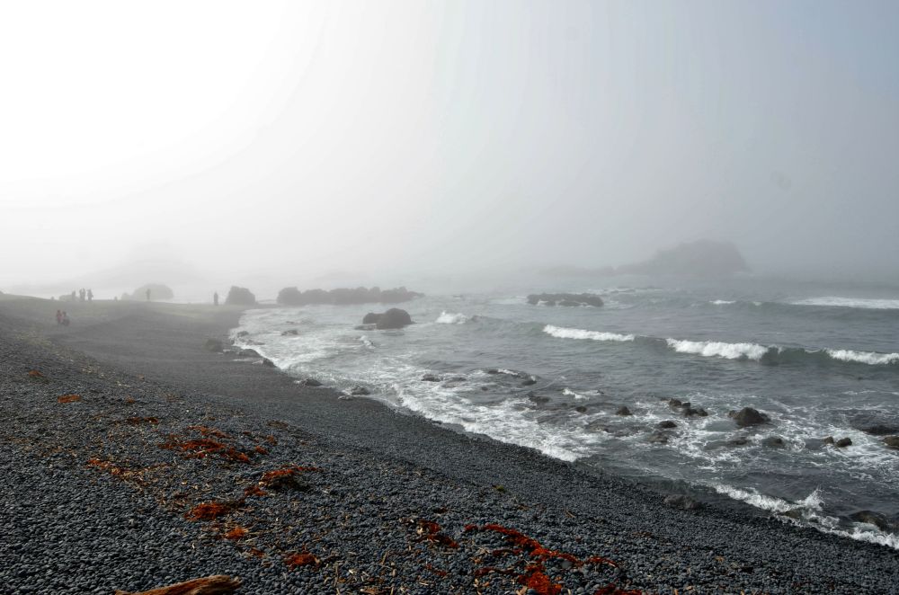 Cobble Beach in Newport is said to make music as the waves wash over it. We didn't hear it, but search YouTube. I'm not making this up. Seriously.