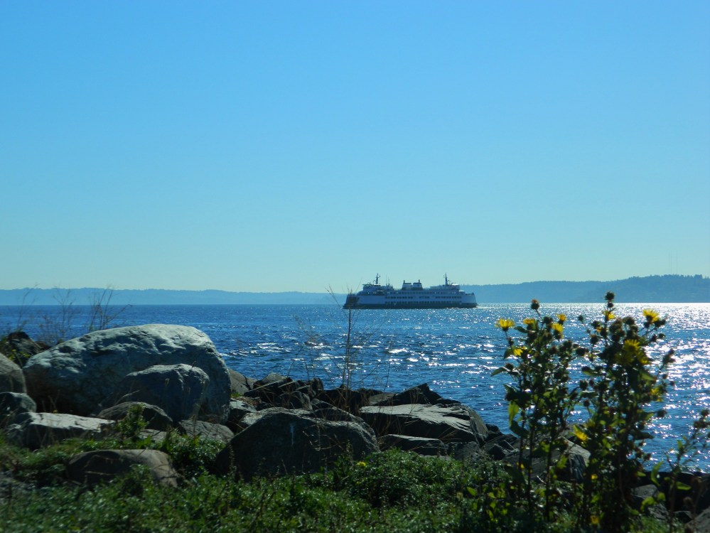 The ferry between West Seattle and Vashon Island cruises near Lincoln Park in West Seattle.