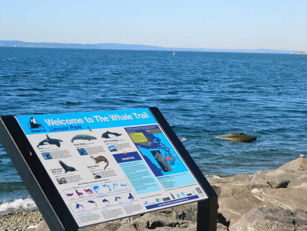 According to this sign, you can see myriad whales from this beach.