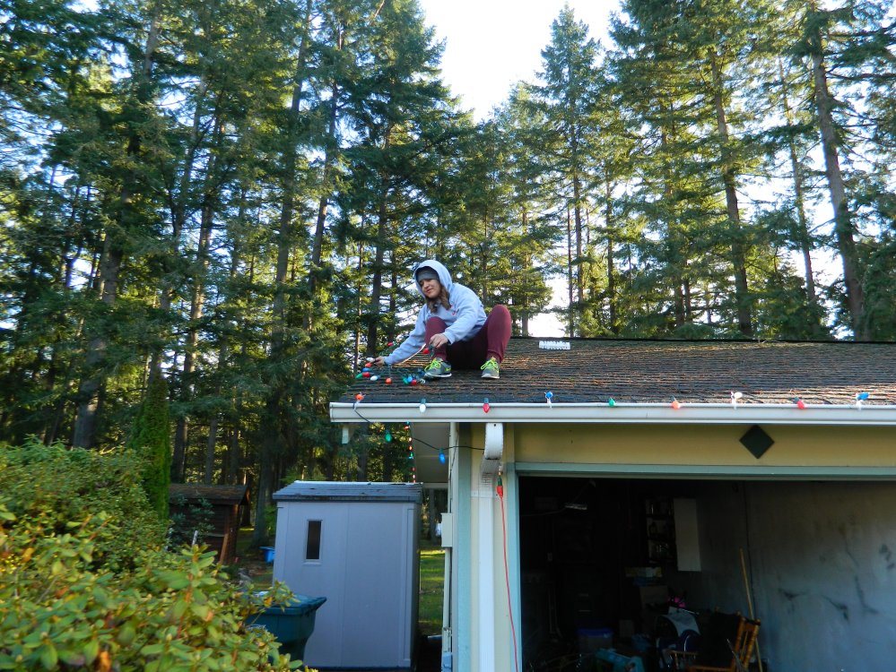 Tori said she wanted to climb on the roof, so I put her to work immediately.