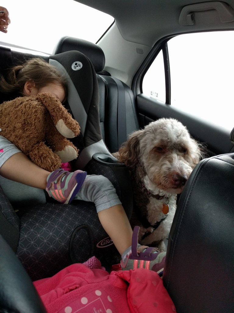 You know it was a good trip when your kid passes out immediately in the car on the way home. Now, if only Molly could learn to sleep in the car.