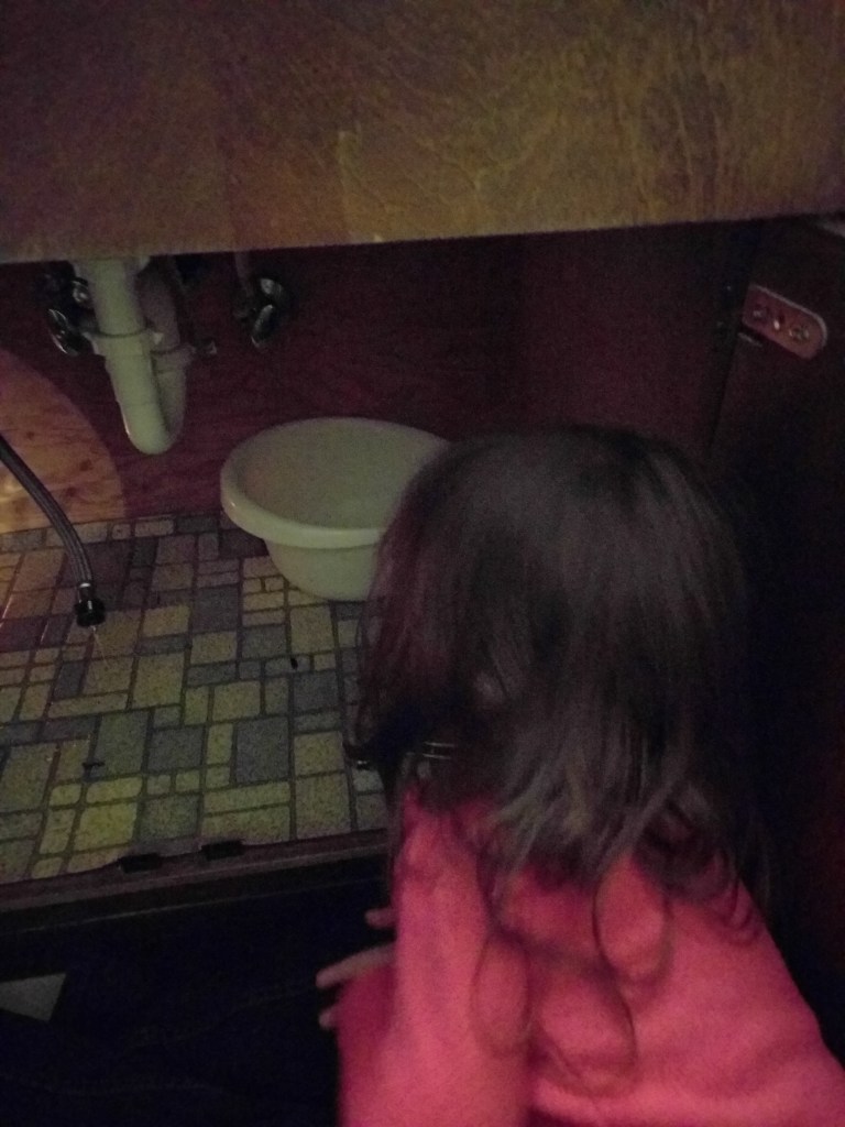 Cat made sure to do her best to help, including climbing onto my chest at one point while I was laying under the sink attempting to work two wrenches at once. That was fun.