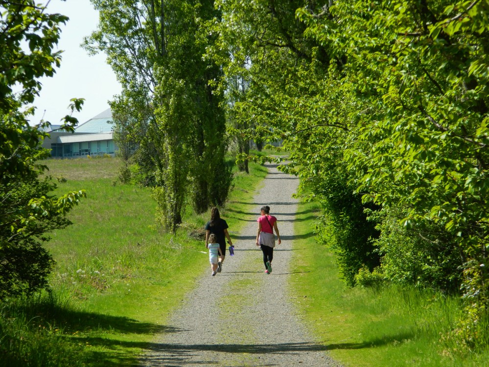 Tori, left, Catarina, back, and Veronica on the hunt for some ancient ruins ... and enjoying a nice sunny stroll.