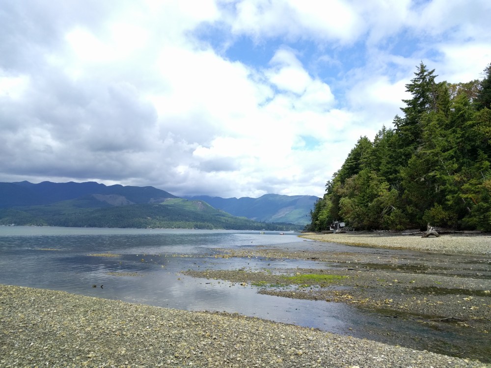 Boyce Creek meets the Pacific Ocean. 