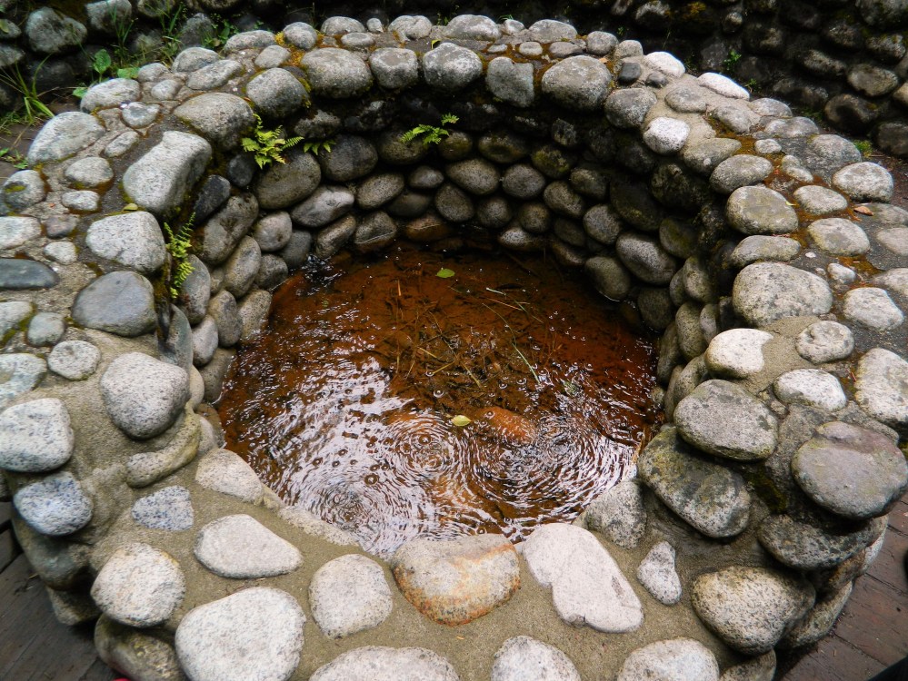 One of the mineral springs discovered in the 1880s by James Longmire. Unfortunately, it was not hot.