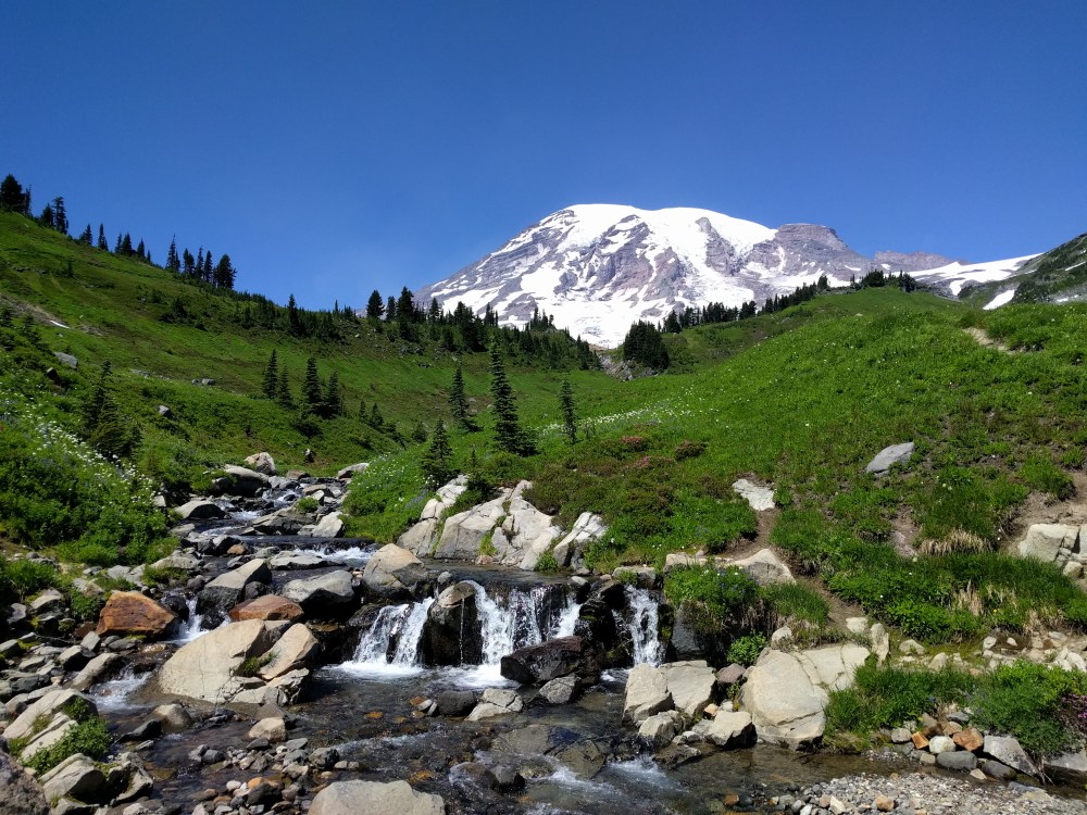 Edith Creek gurgles in the foreground as Mt. Rainier looms in the background.