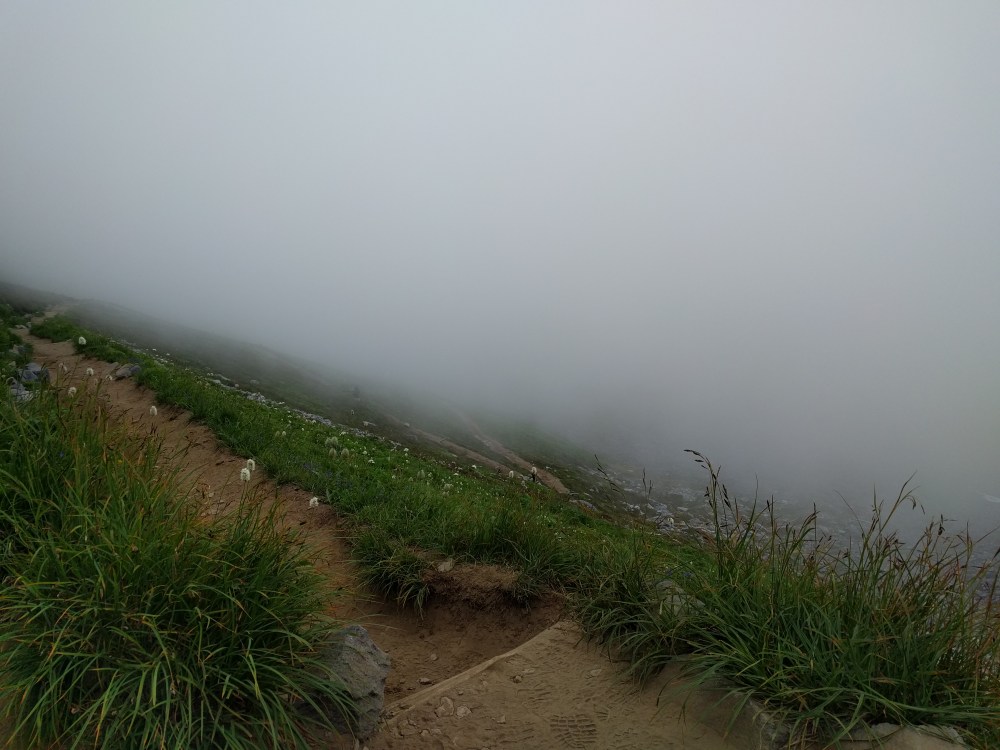 The fog on the switchbacks gave the Golden Gate Trail a surreal feeling.