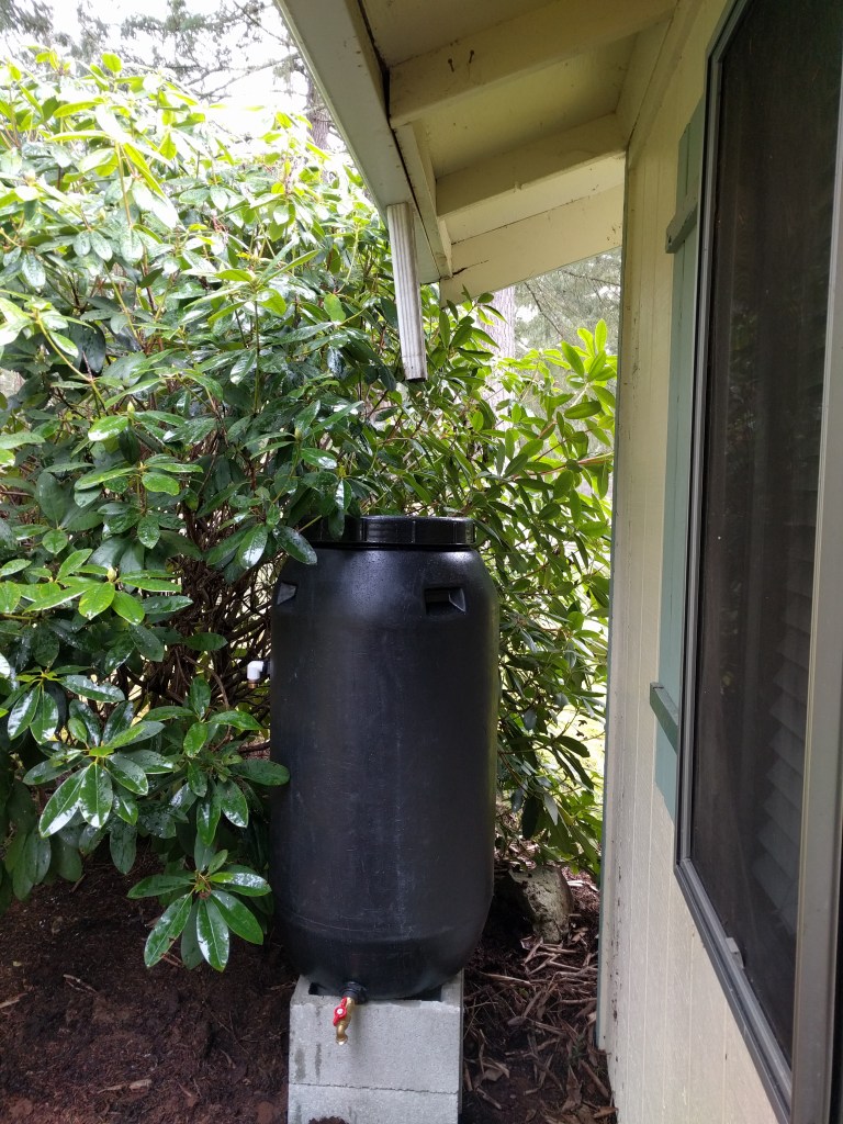 Note the master craftsmanship of the gutter not extending all the way down.