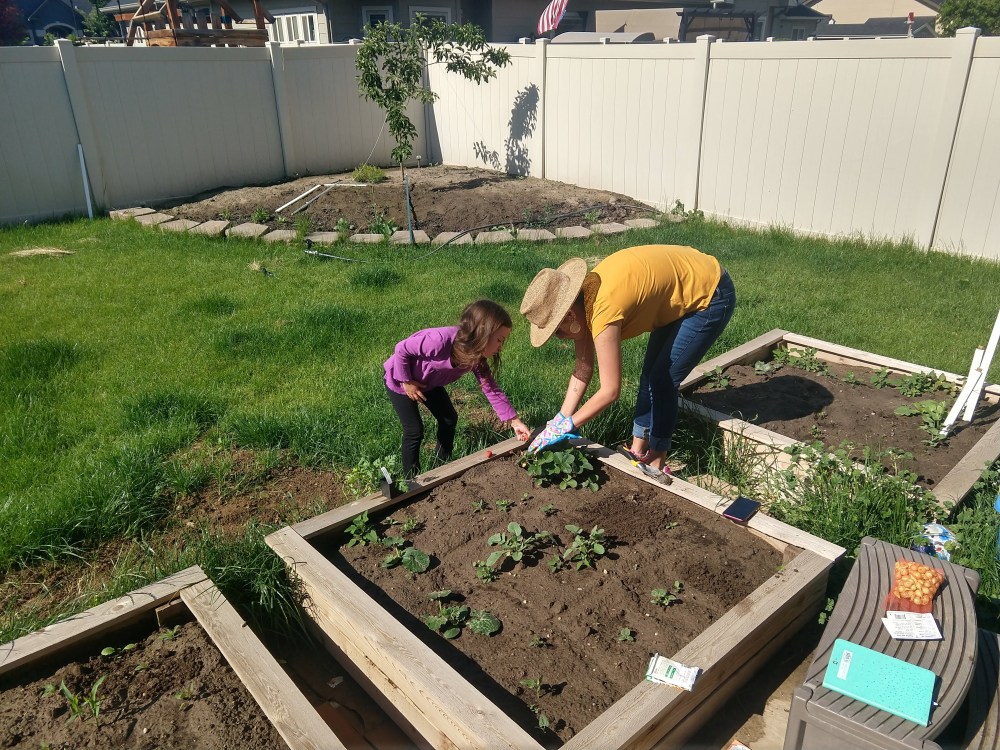 IMG_20180526_101401539_HDR